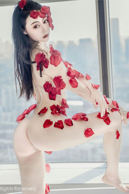 一区二区三区高清