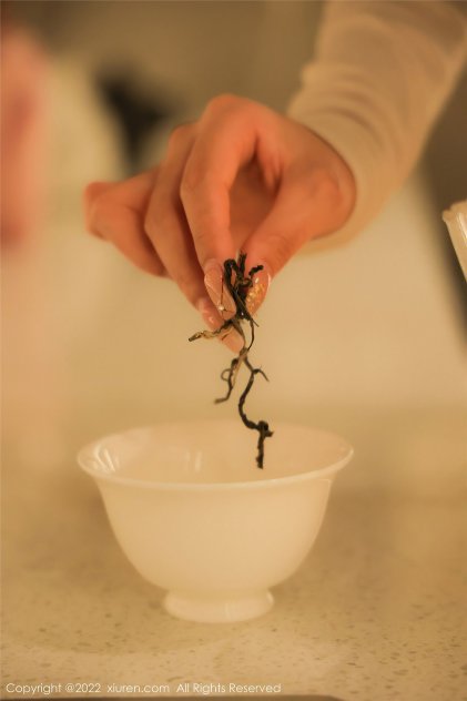 九叔之钟馗归来